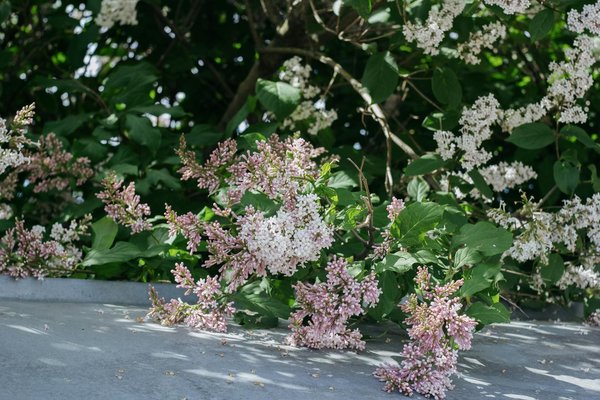 10 appliques murales créatives pour un intérieur tendance